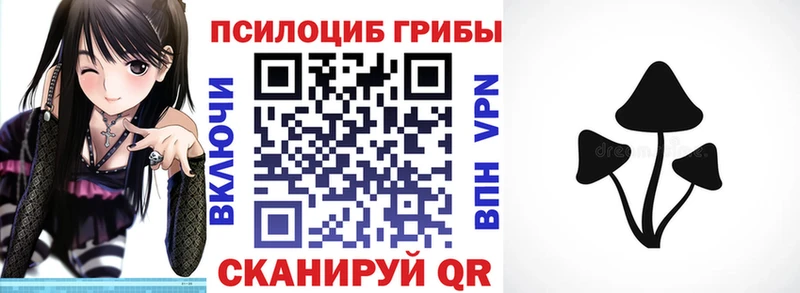 Галлюциногенные грибы мухоморы  Купить закладки  Гусев 