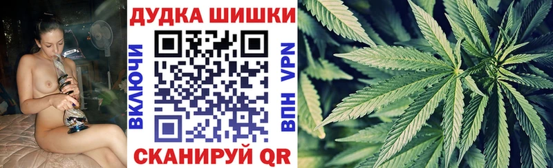 Купить где  Гусев  Бошки марихуана SATIVA & INDICA 